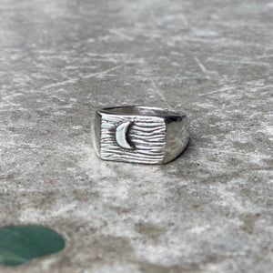 Dark side of the moon